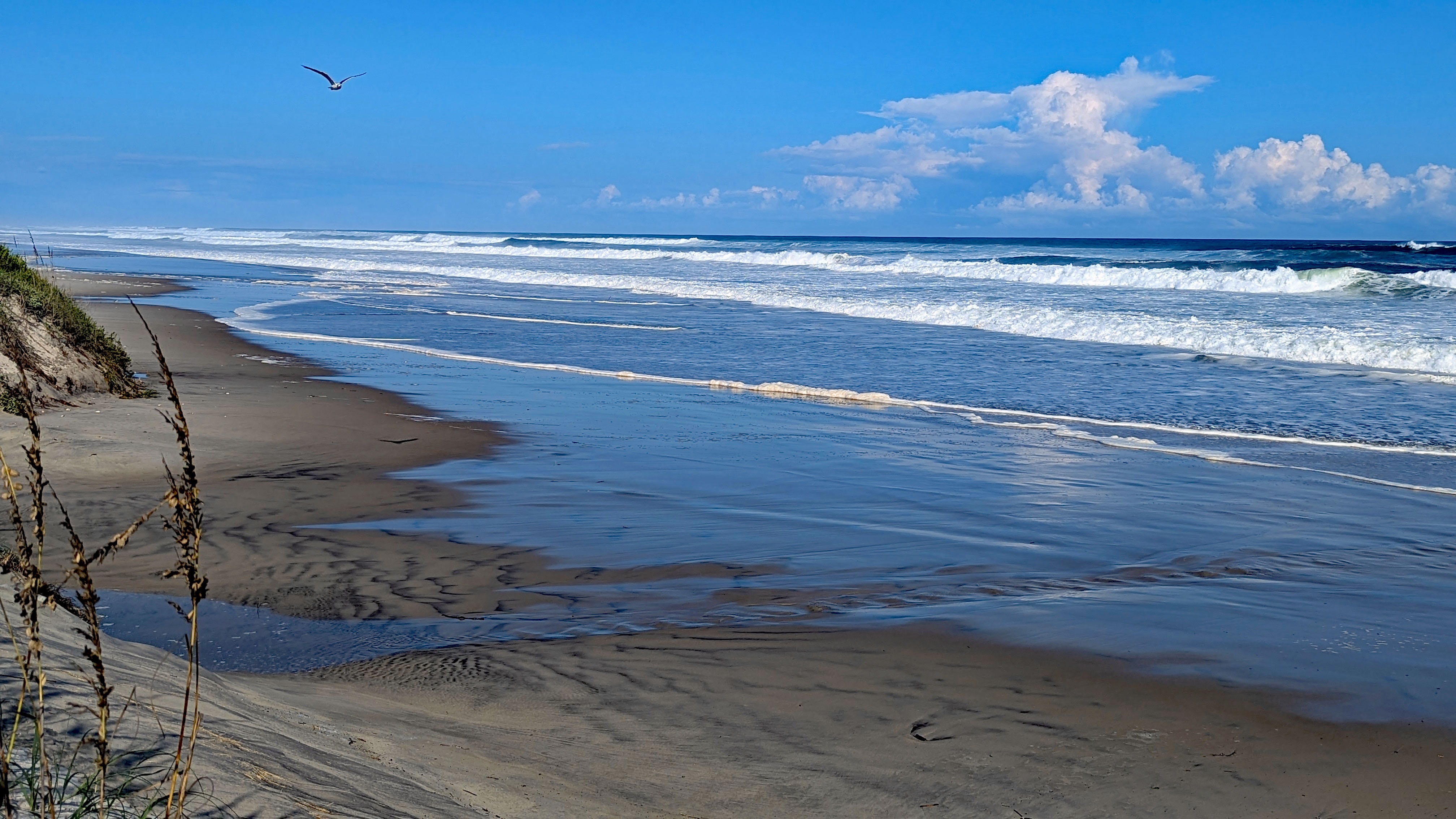 Ocracoke beach PXL_20250819 | Ocracoke Observer
